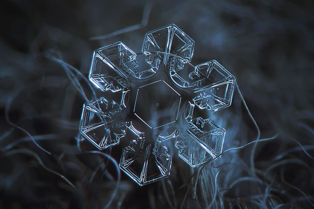 a close up photo of a snowflake